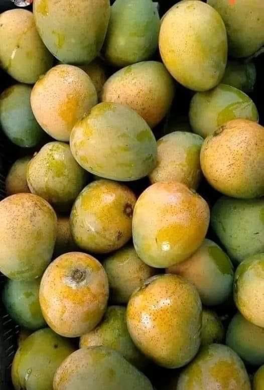 Madu Maryjane tweet media