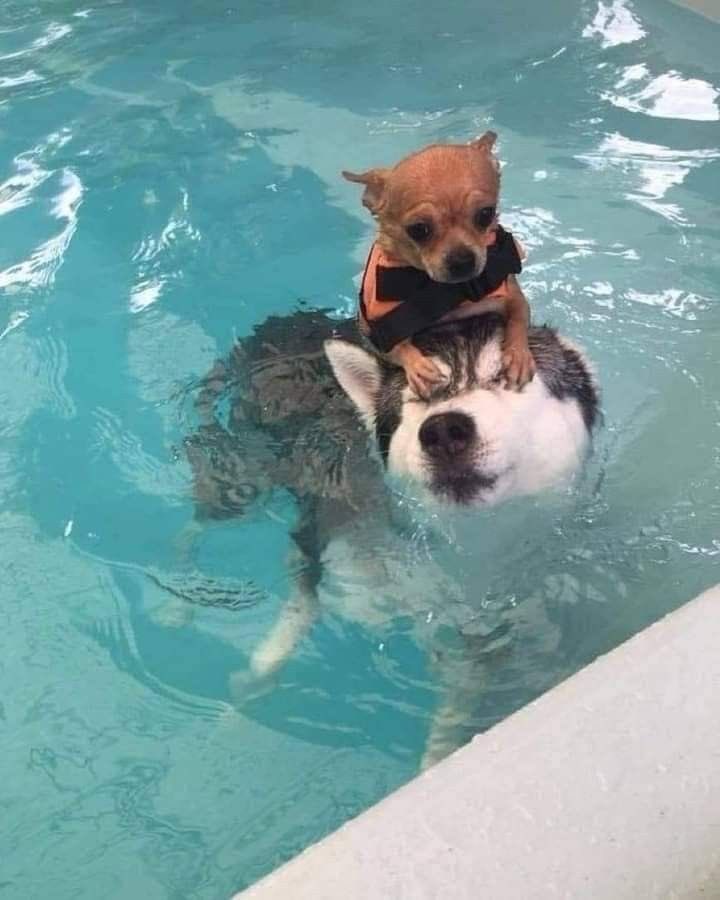 Oh Deus, pfv resolve esse trem logo, para q assim minha mente me dê paz