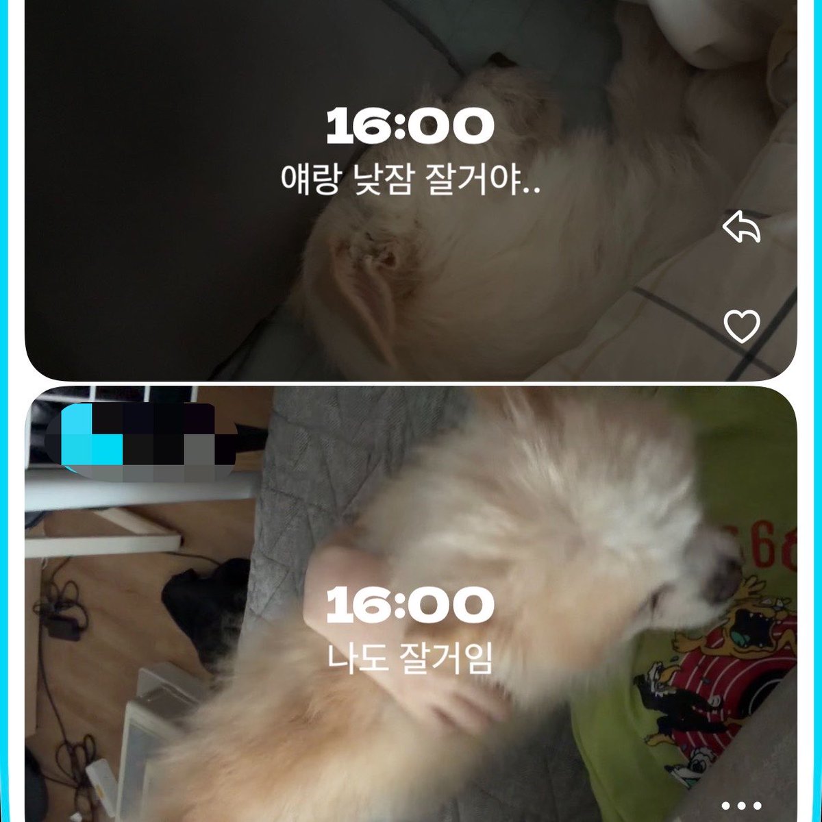 용과 tweet media