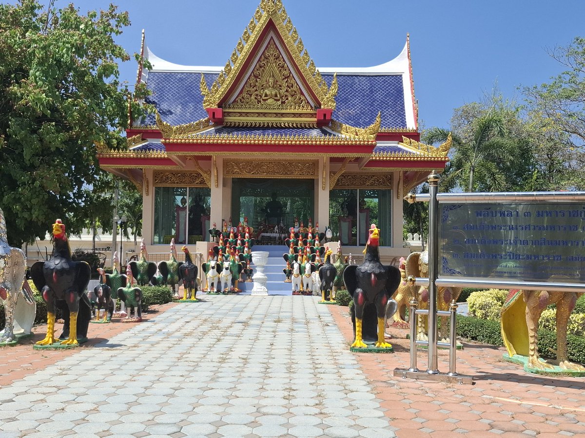 แมวส้มรสซากุระ tweet media