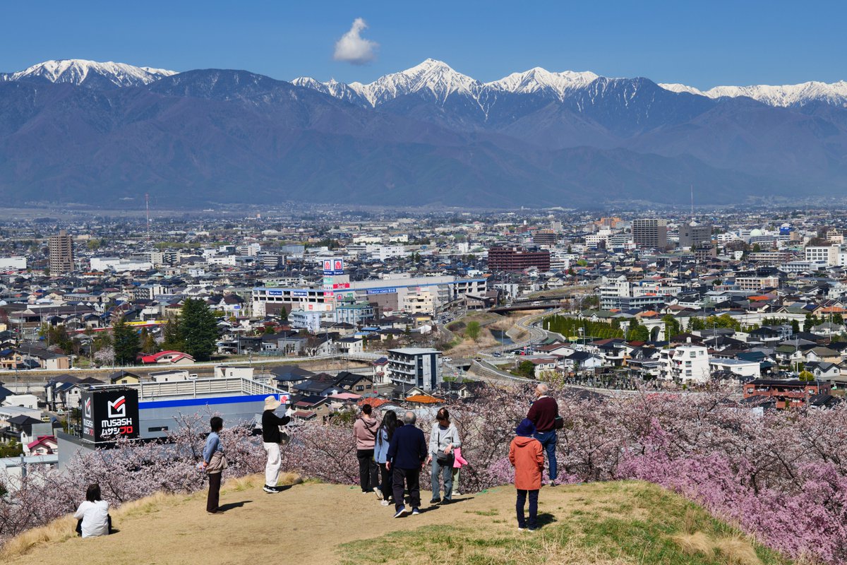 とくむ tweet media