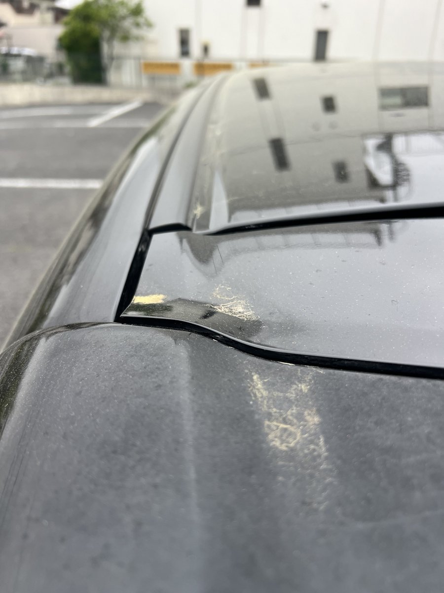 て ん＿＿＿ tweet media