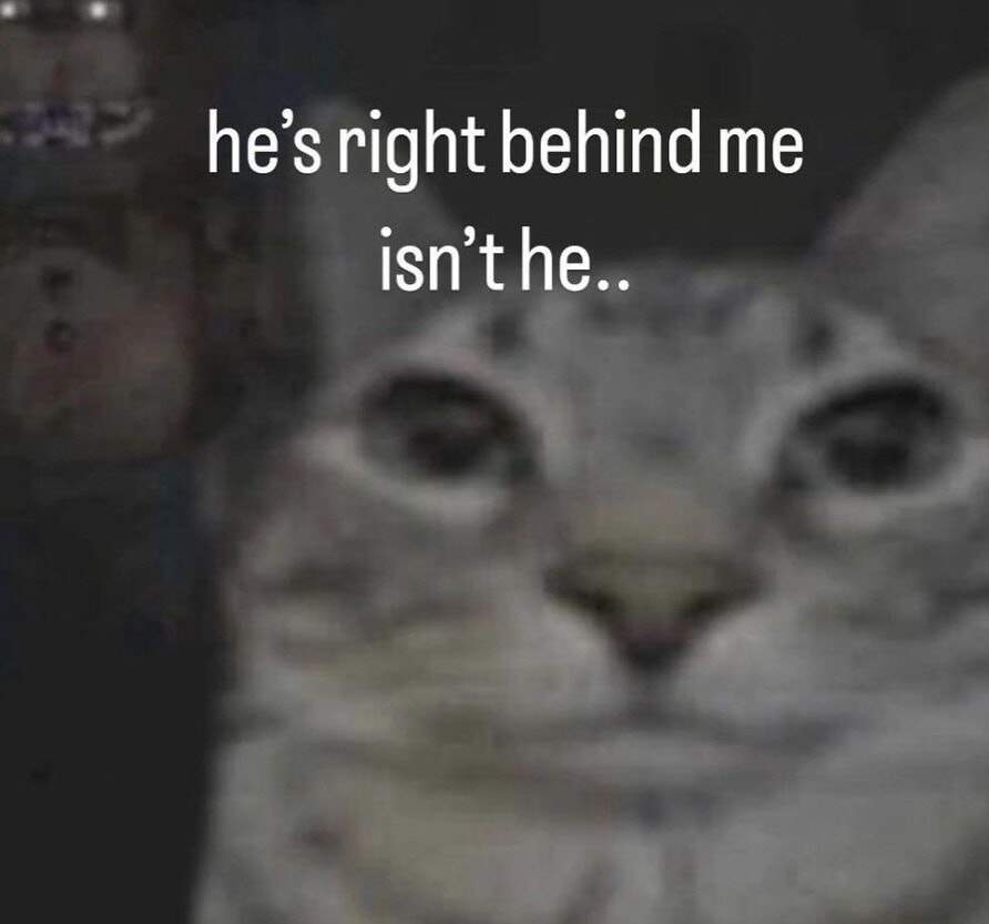 NeverFall🍃 tweet media