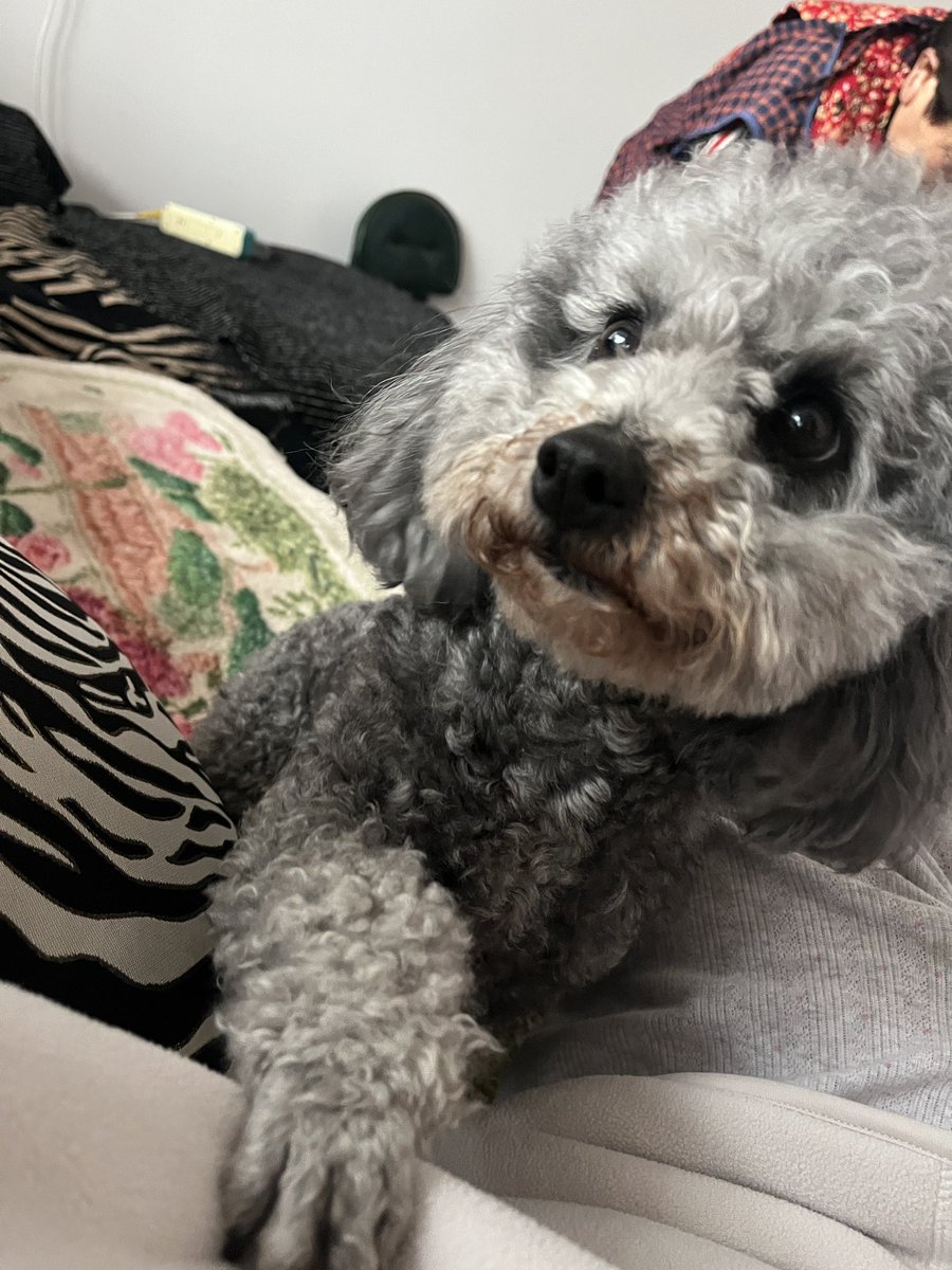 用户jade tweet media