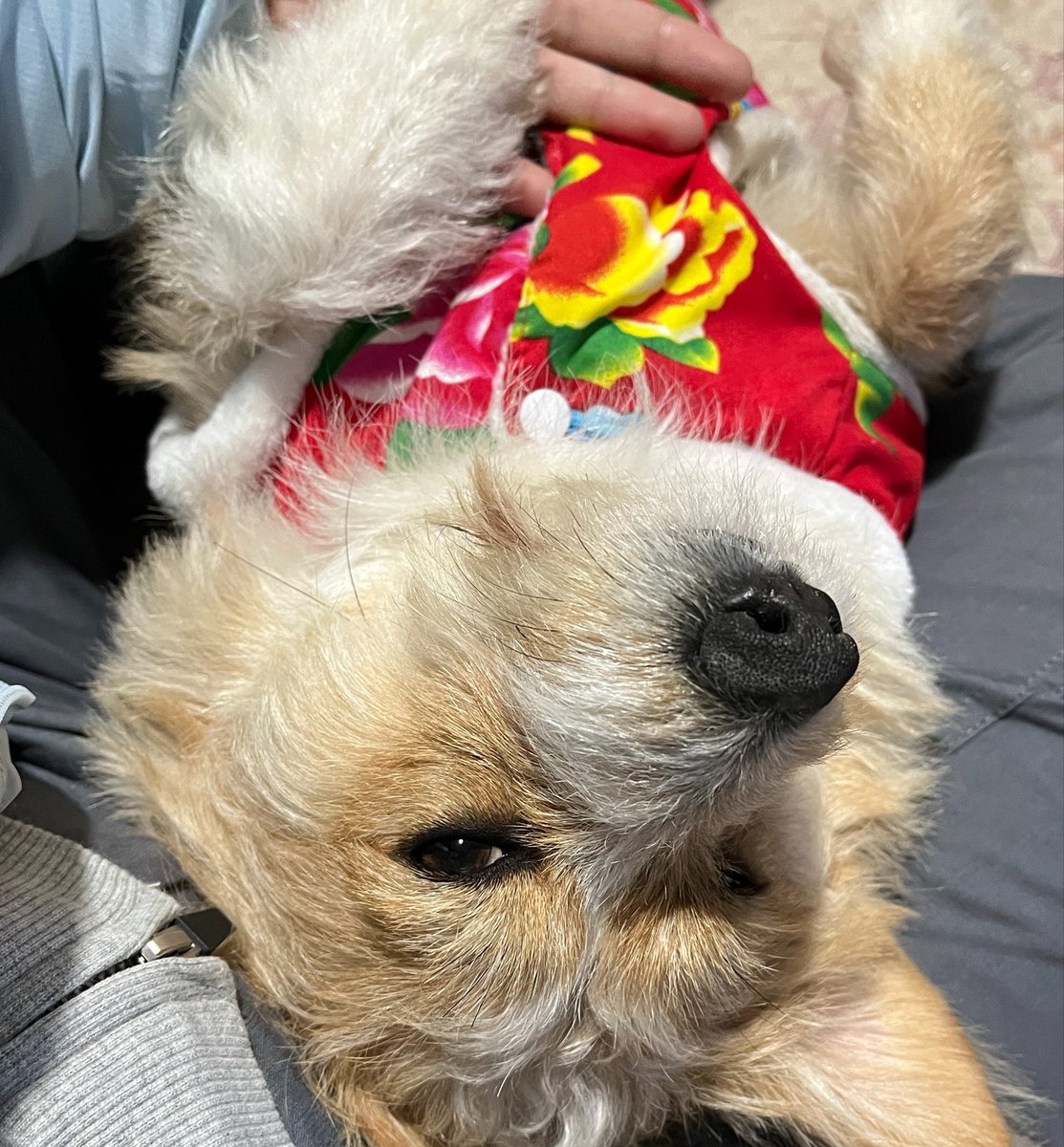 用户jade tweet media