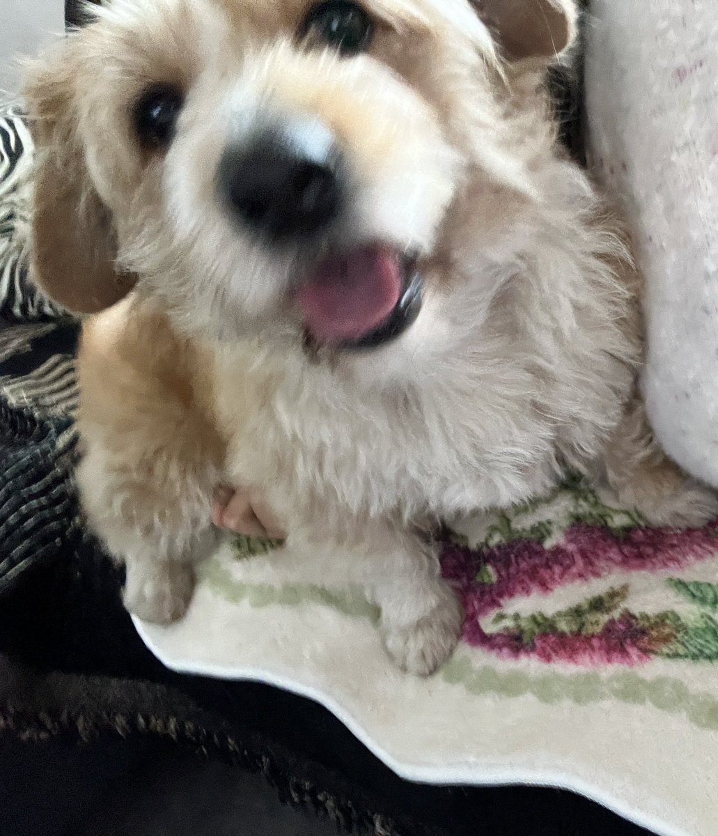 用户jade tweet media