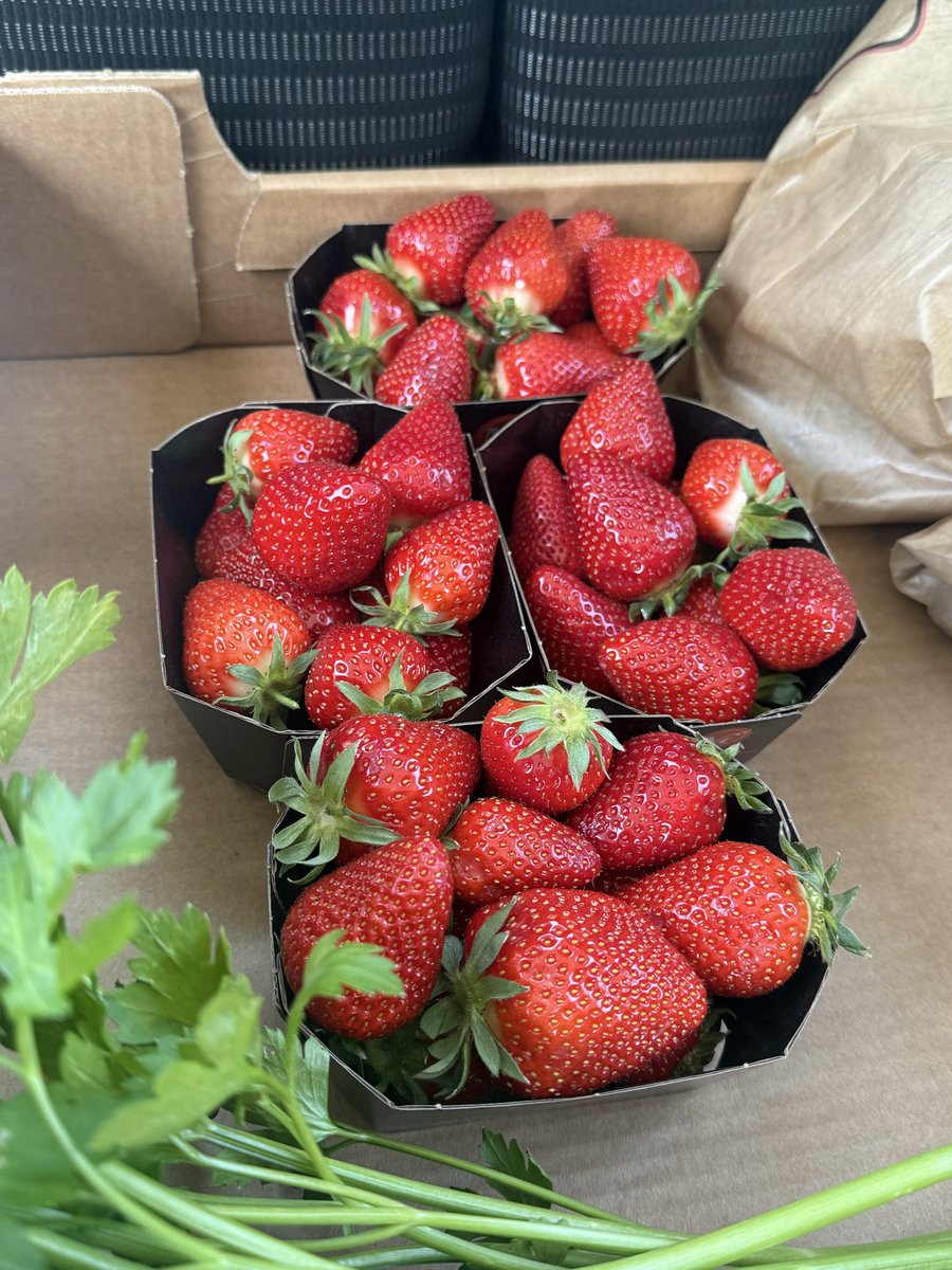 🌞🥨 tweet media