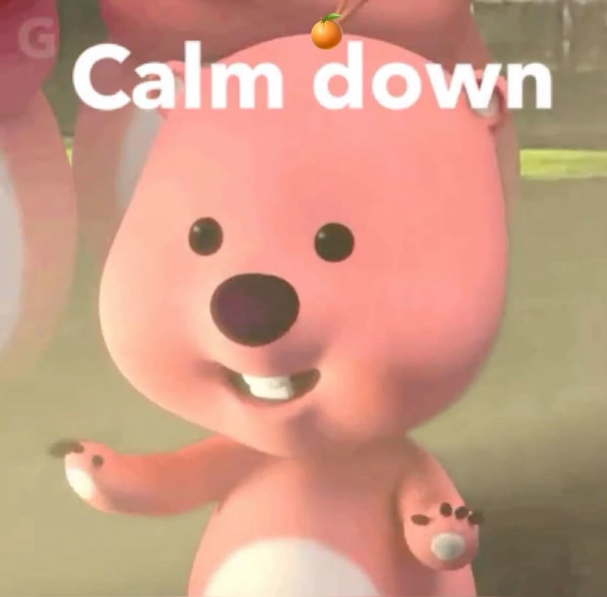 ⋆˚࿔ tweet media