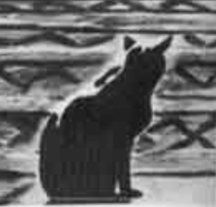 The cat in the bottom right did not appear in that episode. Cats did not appear in the JQ original series.