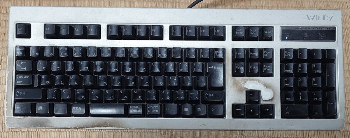 すかじ～ tweet media