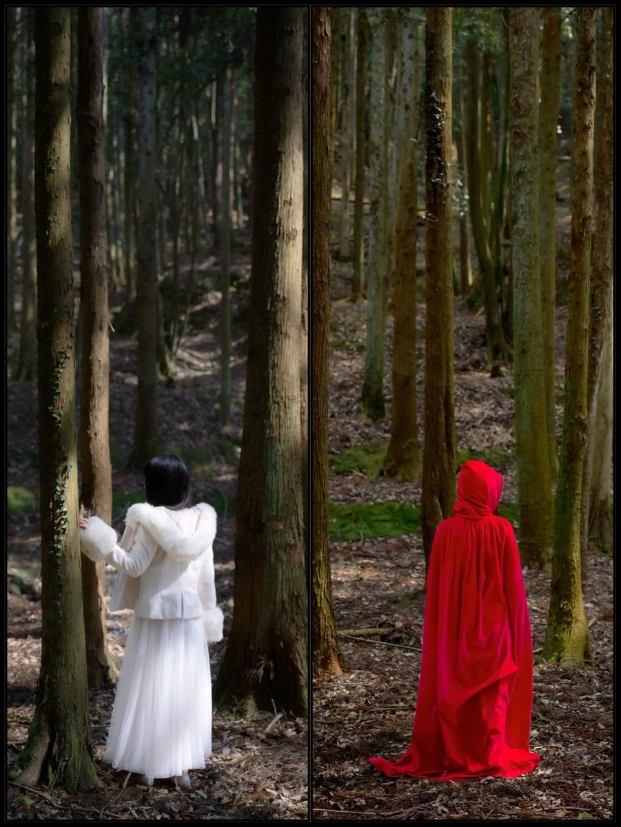 Model : しょうさん
<a href="/show__1116_/">しょう@広島の行政書士</a> 

#nikon
#voigtlander
#童話の世界