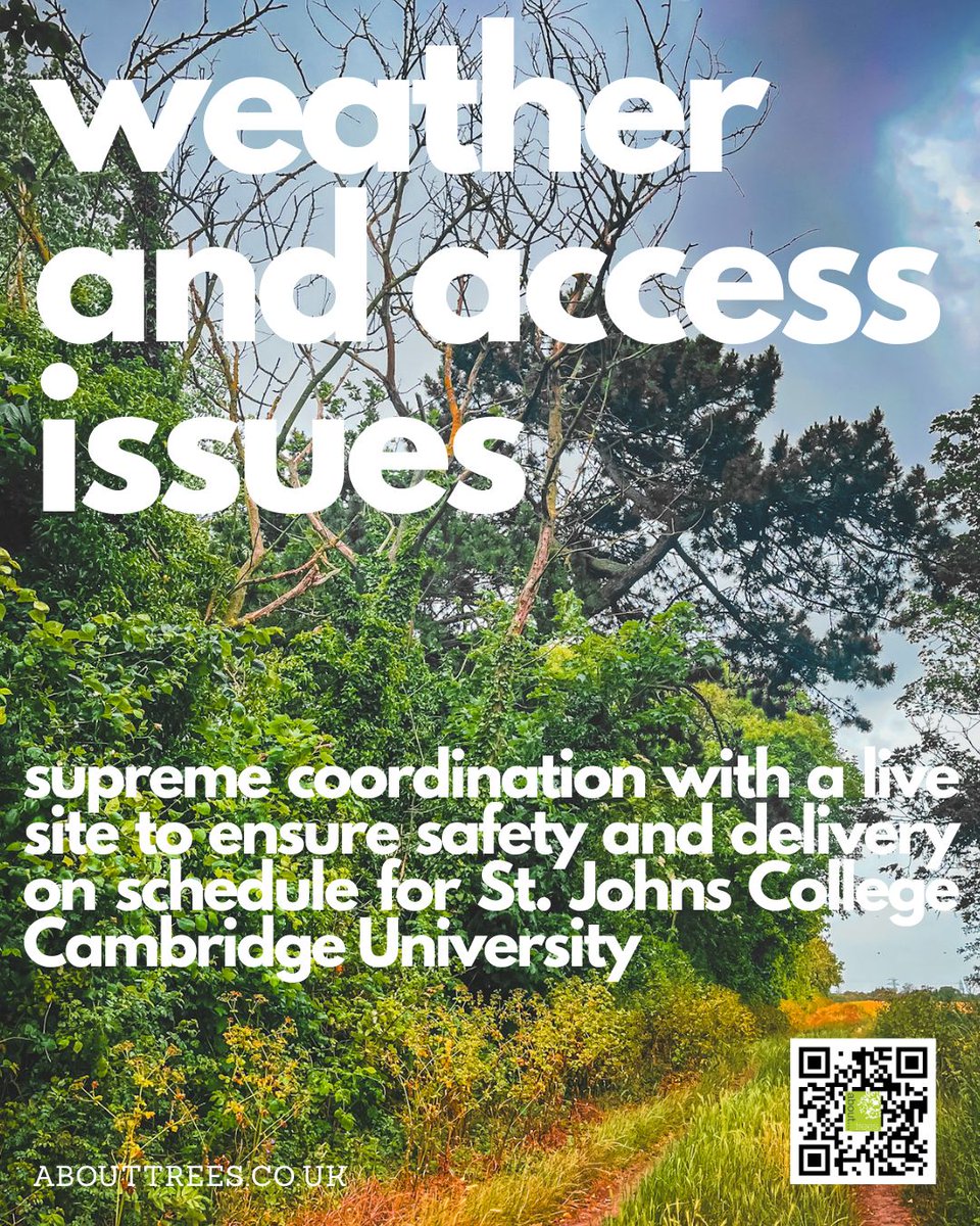 abouttrees's tweet photo. This project involved working across a large agricultural estate in Kent for St John’s College, Cambridge.

Read the case study here https://t.co/2zXoPG93jE https://t.co/6MES31VWTE