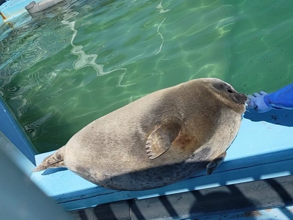 Exceptionally_Riso tweet media