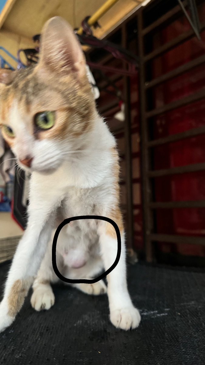 ItsmNanielae tweet media