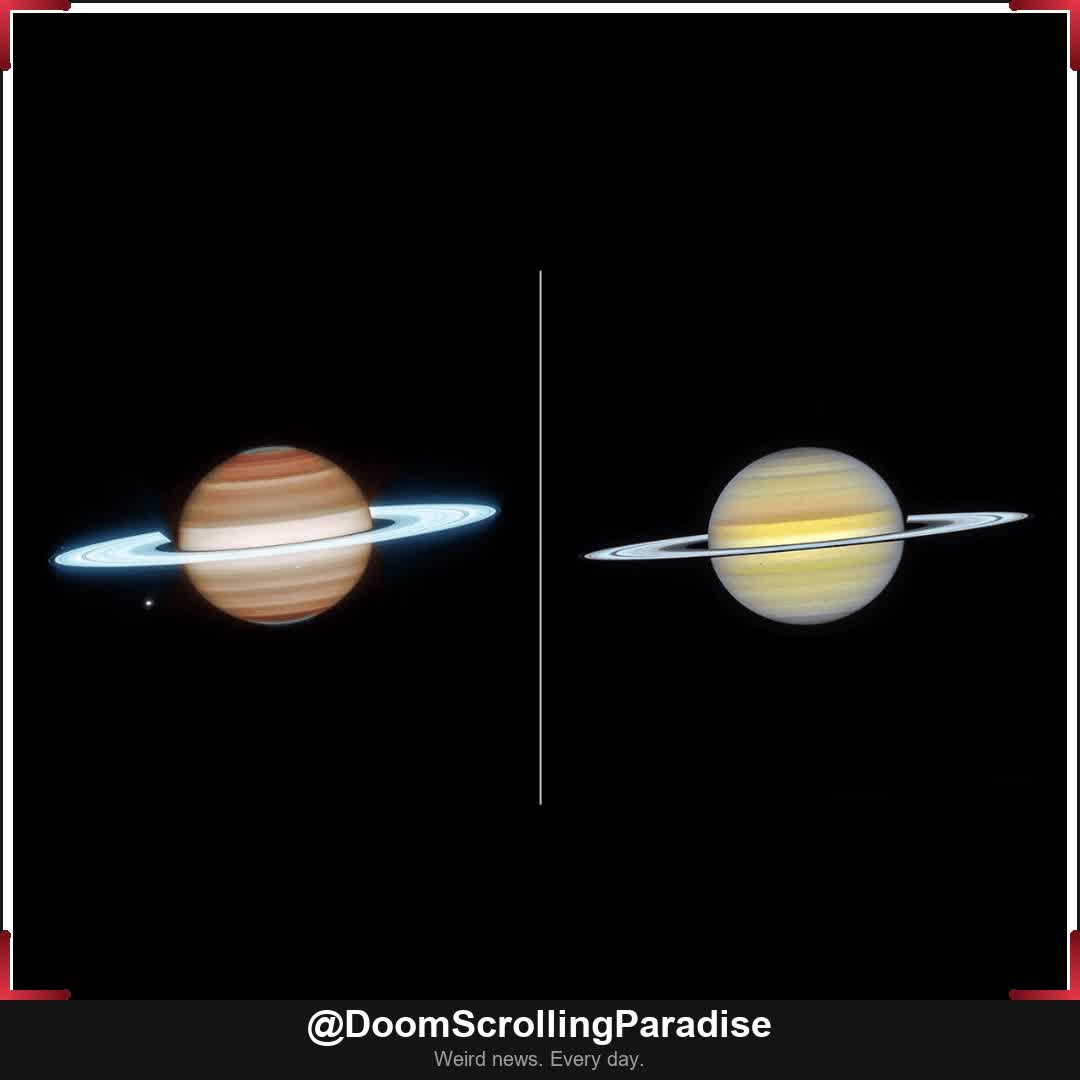doom_scrolling's tweet image. Saturn's rings are literally glowing blue and NASA caught it on camera—turns out the planet has seasons too
Which one looks more like a tiny planet you'd actually want to visit?
Source: IFLScience iflscience.com/a-giant-ribbon…
#HumanWeirdness #NaturalWonders