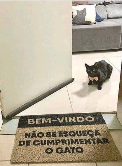 Shitpost só que de verdade tweet media