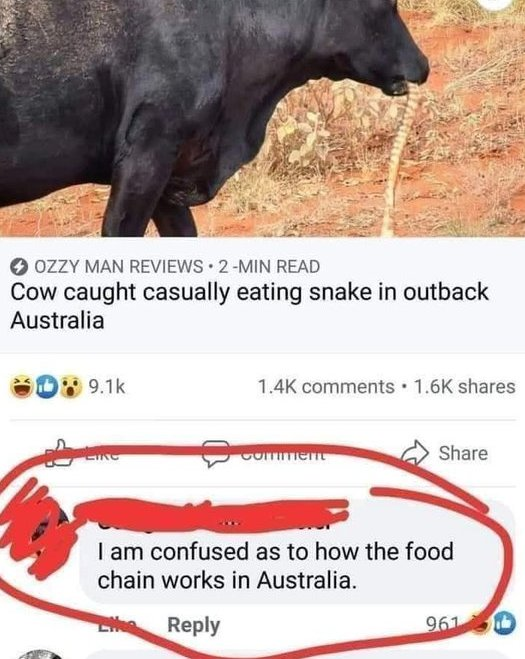 Community Notes & Violations tweet media