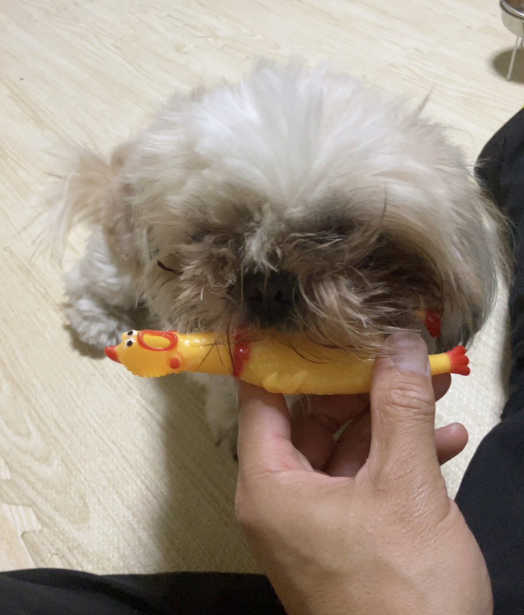 ひろし tweet media