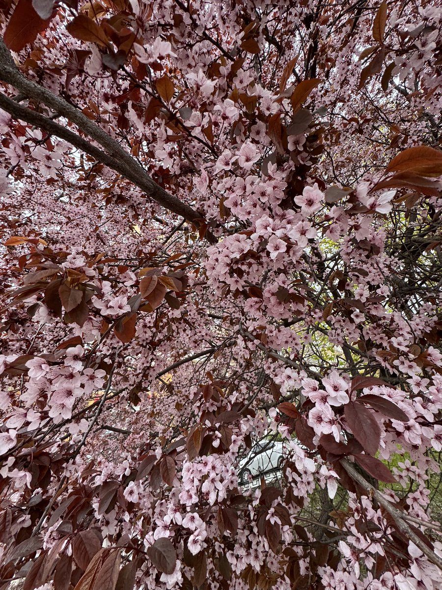 Принцесса Хель tweet media