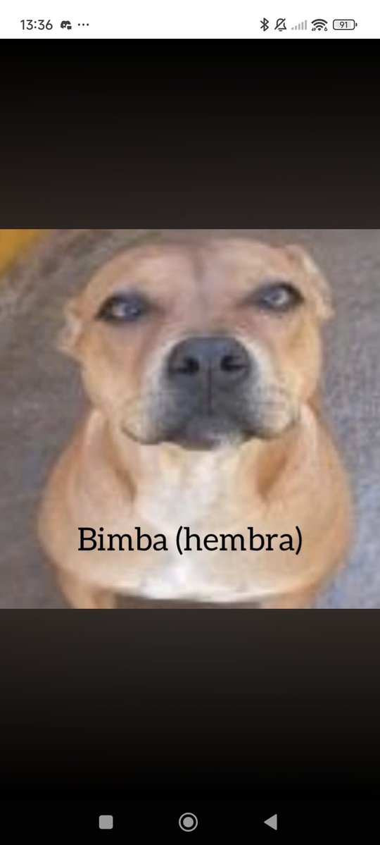 Nei Nei 🐱 De la colonia tweet media