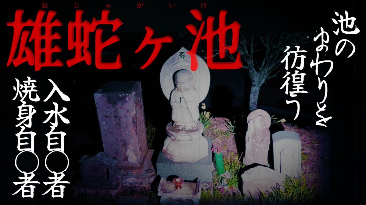 みなさんこんばんは🌟⋆꙳
4/19（日） 19:00から新作動画をアップします.☆.｡.:*・°
千葉県の「雄蛇ヶ池」で撮影しました🎬
ご視聴をよろしくお願いします(* ᴗ͈ˬᴗ͈)”