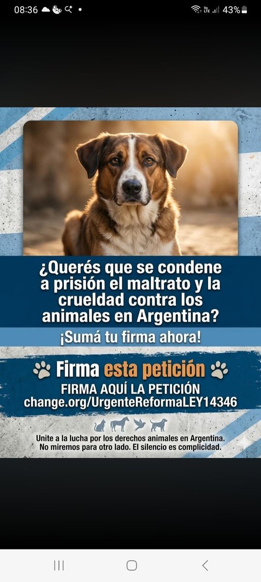 costera88 56%carajo . (@neliaramonadio1) on Twitter photo 