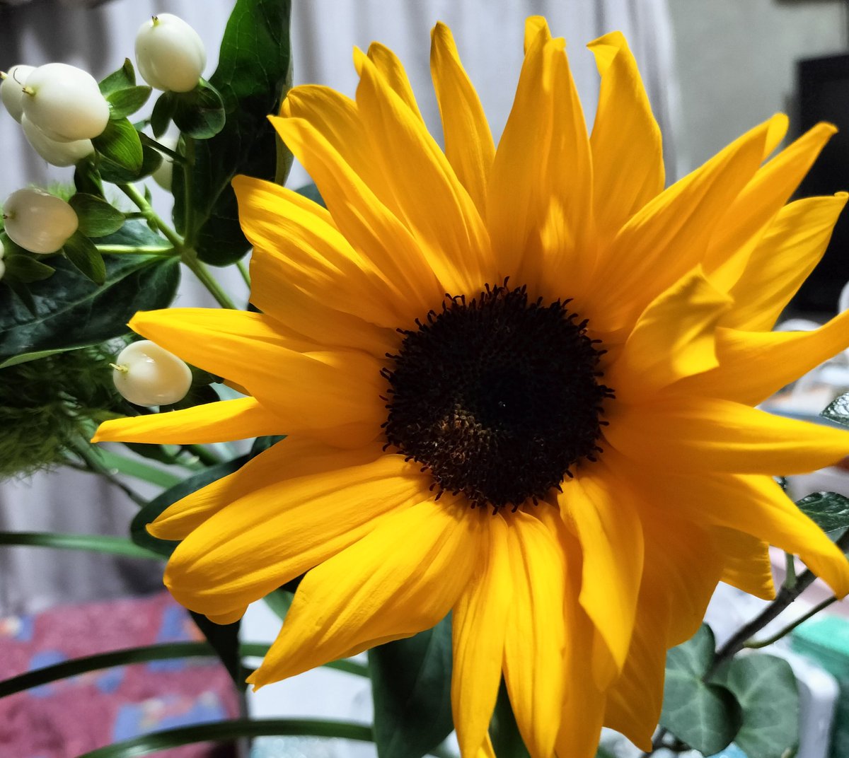 nanako tsuji tweet media