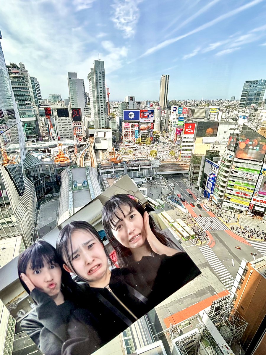 こてつ⌒Ｙ⌒ tweet media