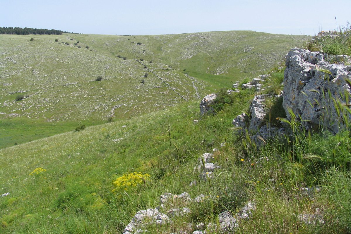 cnr_ircres's tweet image. 📢 #IRCrES #project
☘️From Pisa to Alta Murgia, #Cnr researchers will be involved in two key initiatives focused on ecosystem services and #biodiversity #conservation

ircres.cnr.it/convegno-bilat…