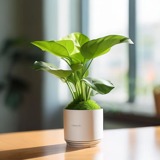 Emily Bobbett tweet media