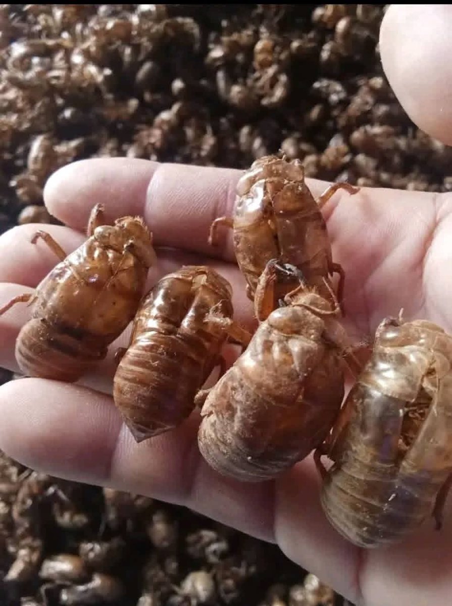 Zoya 🫧 tweet media