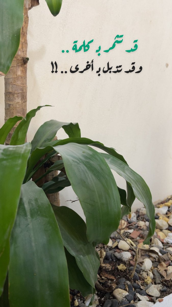 عبدالرحمن حمد tweet media