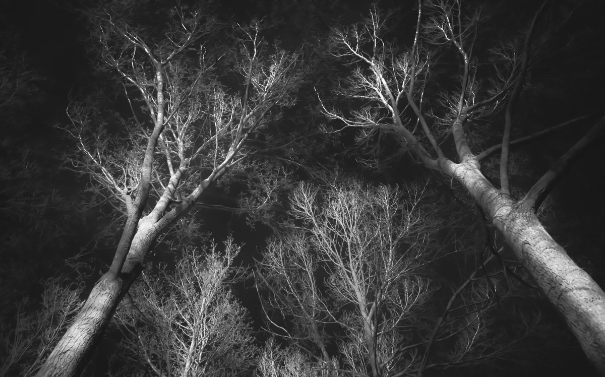 Andy Gray Photography tweet media