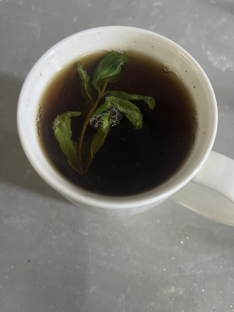 𓏴 𝒘𝒆𝒓𝒅 tweet media