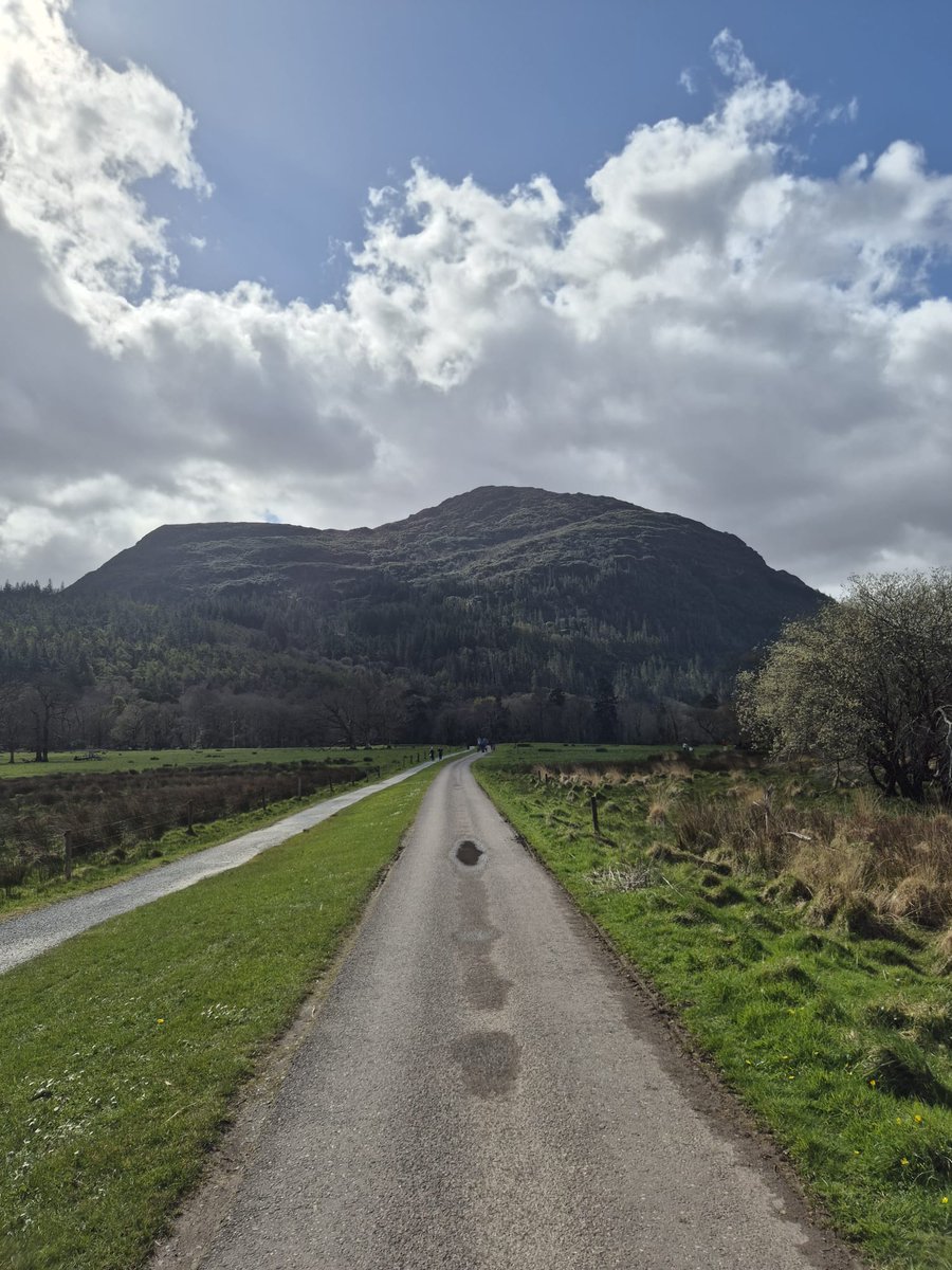 DKillarney's tweet photo. Just follow the pathβ¦ π
Killarney National Park never disappoints.
Discover all our favourite walks and hikes at: https://t.co/PZtHP6kP3p
#LoveKillarney #KillarneyNationalPark #DiscoverKerry #SummerinKerry #SpringinKerry #BestIrelandPics https://t.co/rtR3O2Wotp