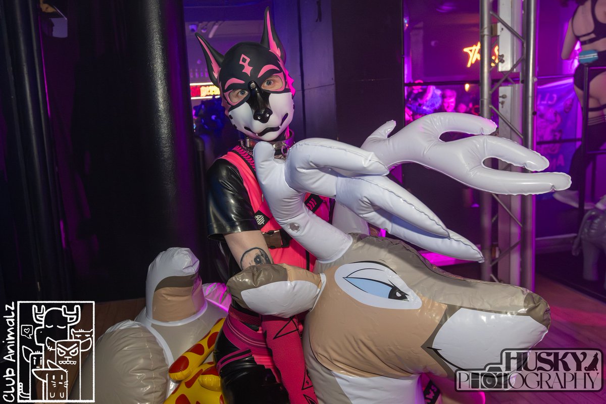 pup kit (@Kitthefox5) / Posts / X