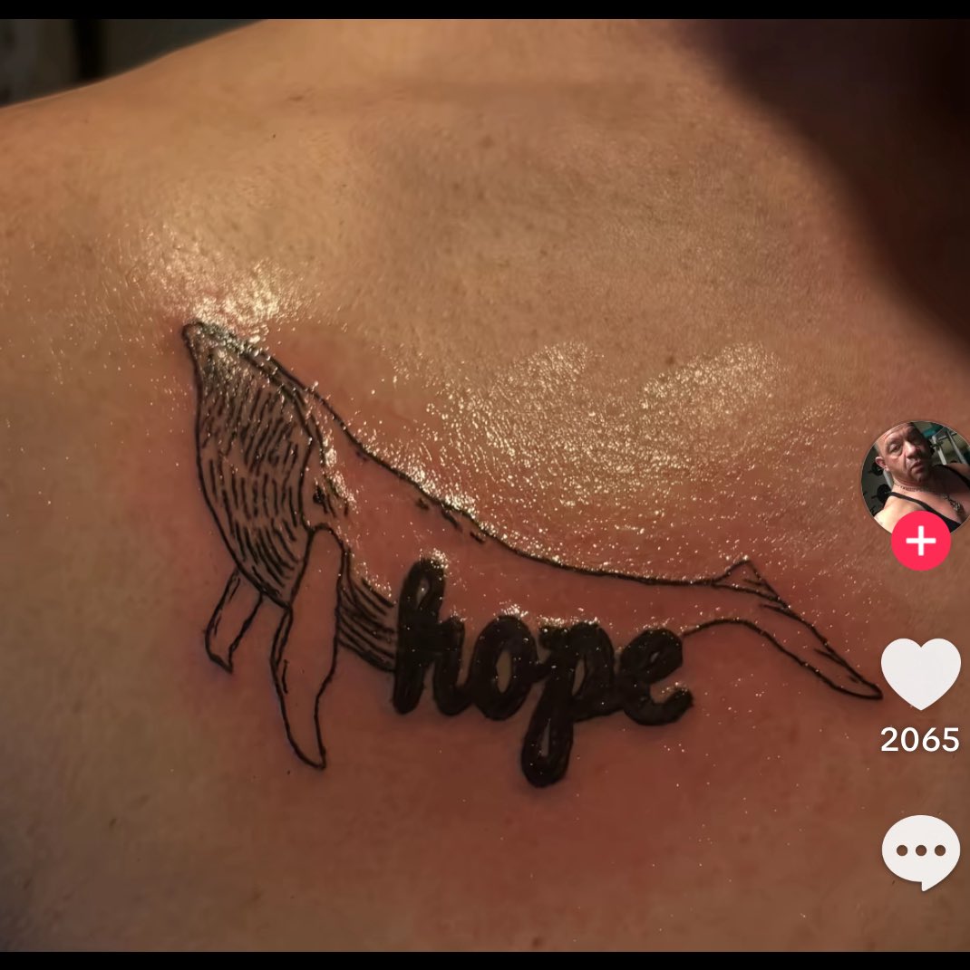 teewurscht's tweet image. Ich kann das alles nicht mehr #wal #hope