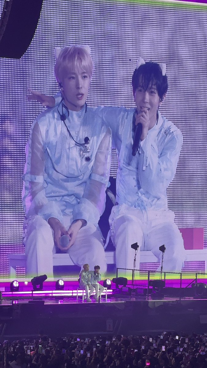 realちょう tweet media