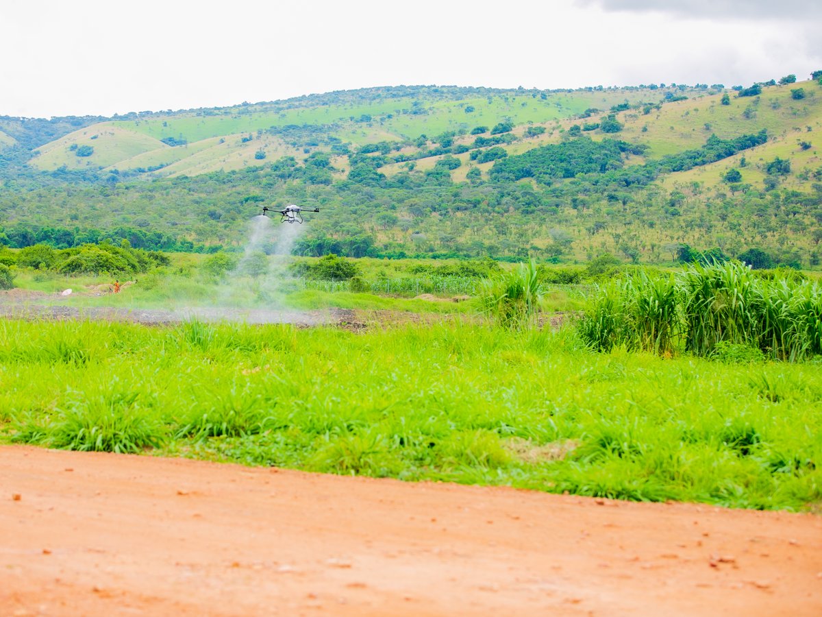 Ministry of Agriculture & Animal Resources |Rwanda tweet media