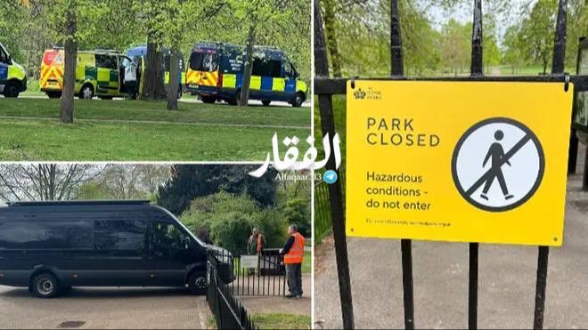 Ryan Rozbiani tweet media