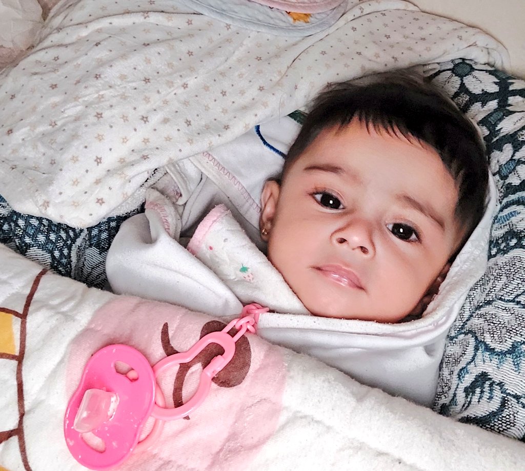 Eileen's Family 🍉🇵🇸 tweet media