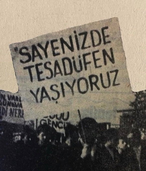 random human tweet media