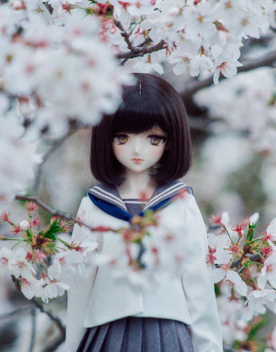 タケル tweet media