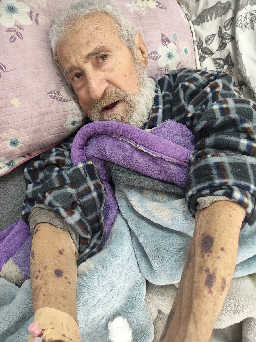 ali zaki tweet media