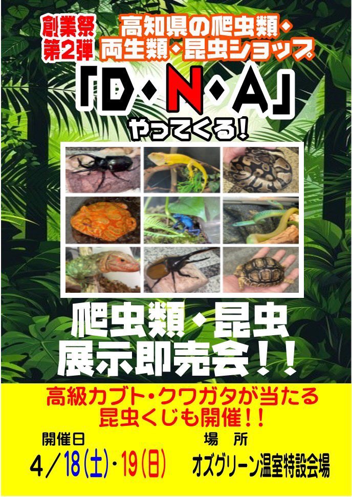 4/18(土)、4/19(日)は愛媛県大洲市 オズグリーン様で10:00〜17:00まで