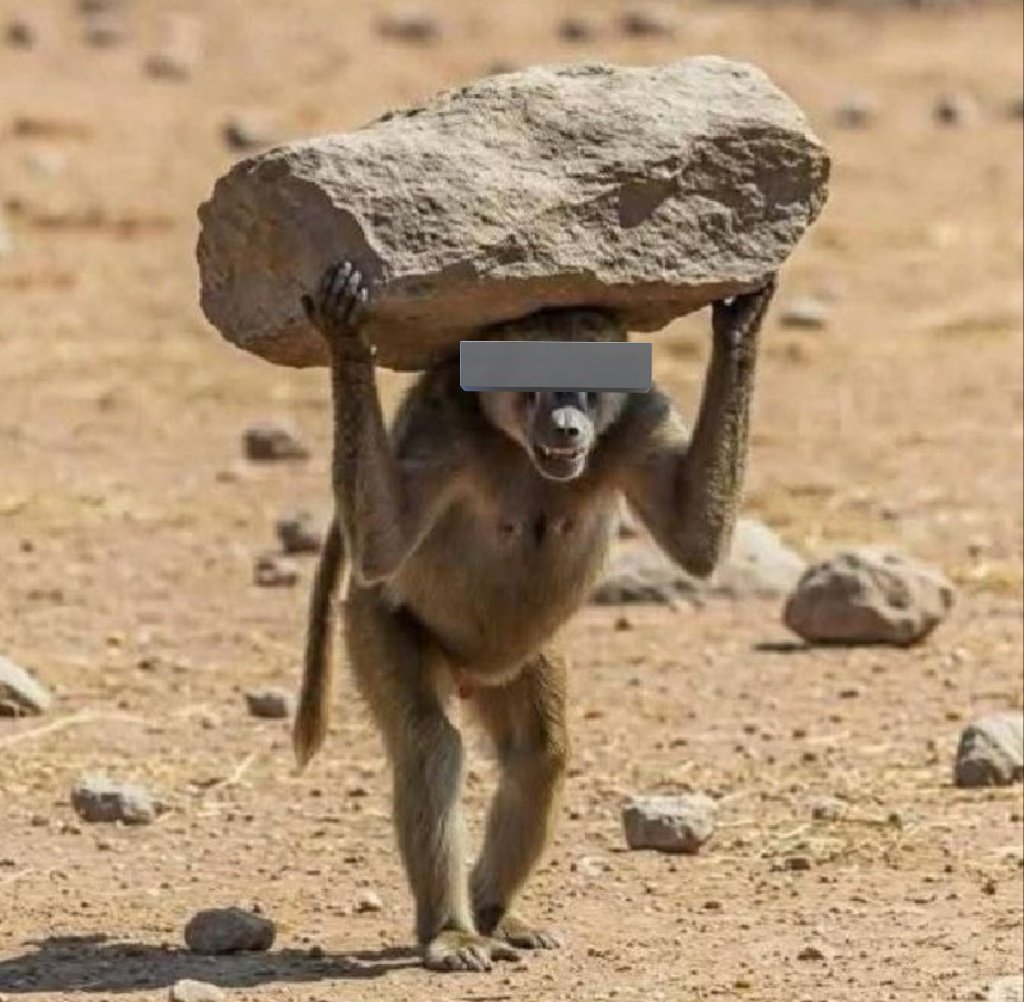 Jeff👻🔥 tweet media