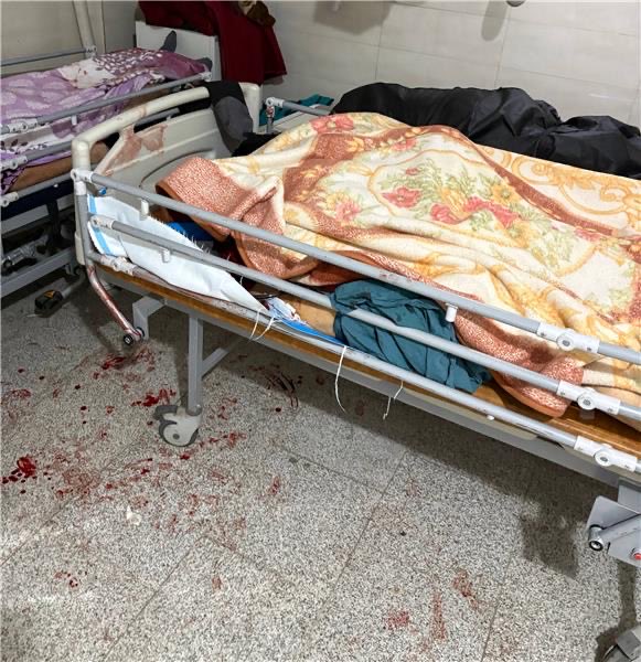 farnoosh faraji |فرنوش فرجی tweet media