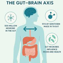 🧬Craig Brockie tweet media