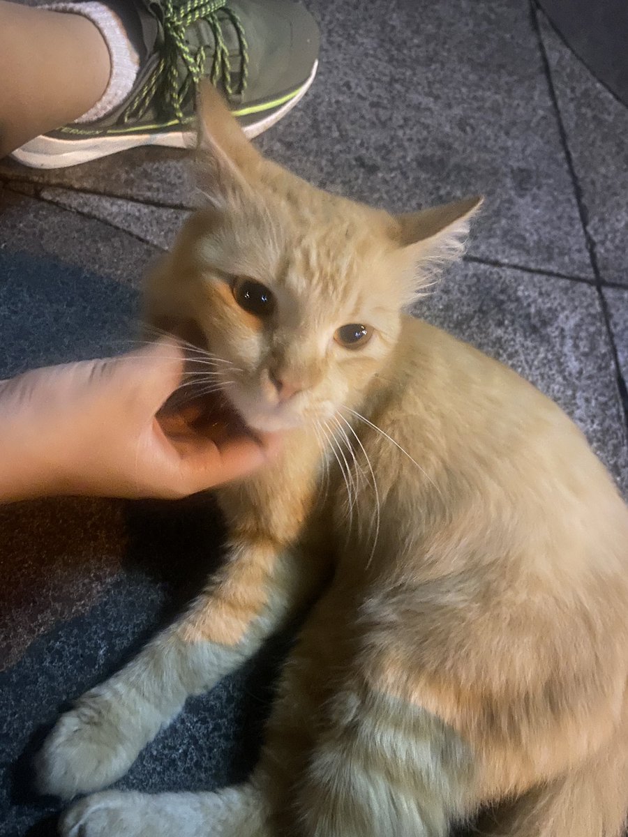 sachi²⁵ tweet media