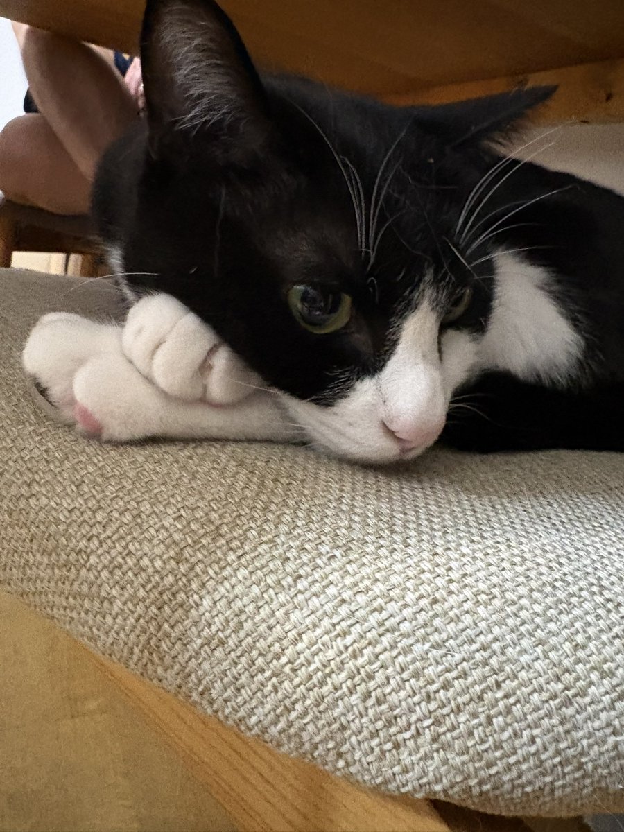 NASDAQは迅悠一@NBA tweet media